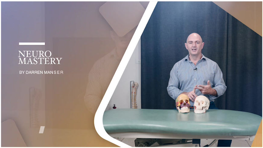 Neuromastery | Brand Story